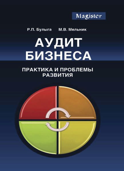 Обложка книги «Аудит бизнеса. Практика и проблемы развития»