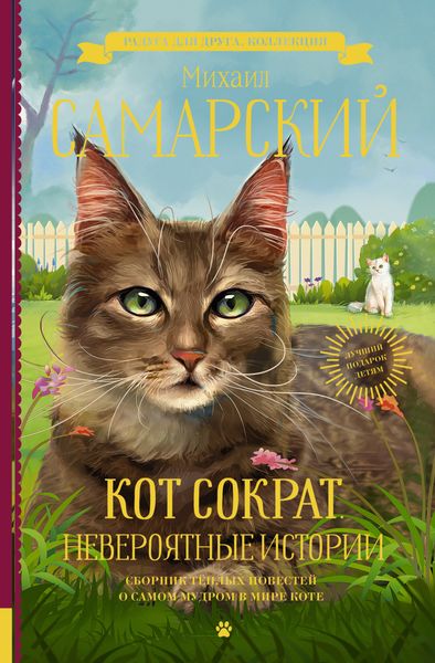 Обложка книги  «Кот Сократ. Невероятные истории»