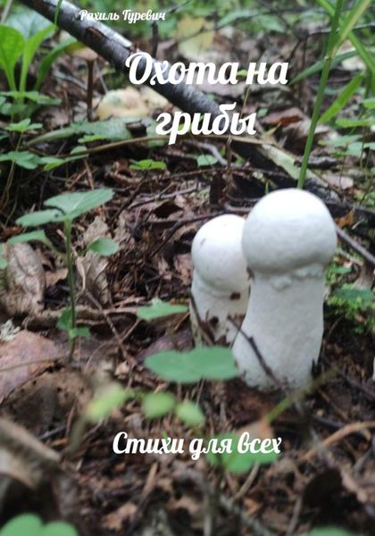 Обложка книги  «Охота на грибы»