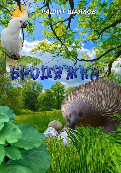 Обложка книги  «Бродяжка»