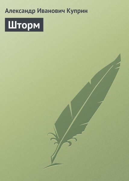 Обложка книги  «Шторм»