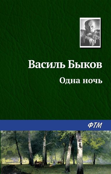 Обложка книги  «Одна ночь»