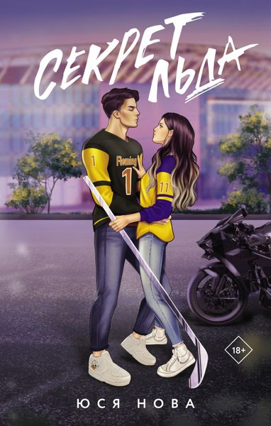 Обложка книги  «Секрет льда»