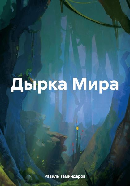 Обложка книги  «Дырка Мира»