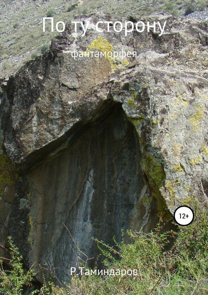 Обложка книги  «По ту сторону»