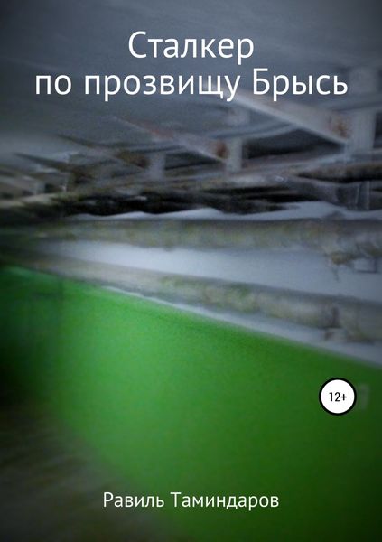 Обложка книги  «Сталкер по прозвищу Брысь»