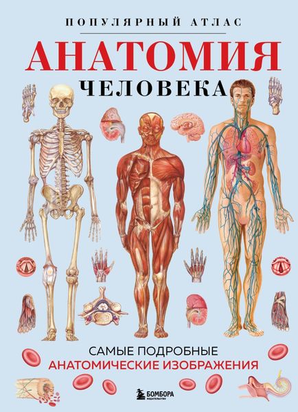 Обложка книги  «Анатомия человека. Популярный атлас. Самые подробные анатомические изображения»