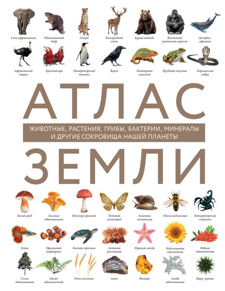 Обложка книги  «Атлас Земли. Животные, растения, грибы, бактерии, минералы и другие сокровища нашей планеты»