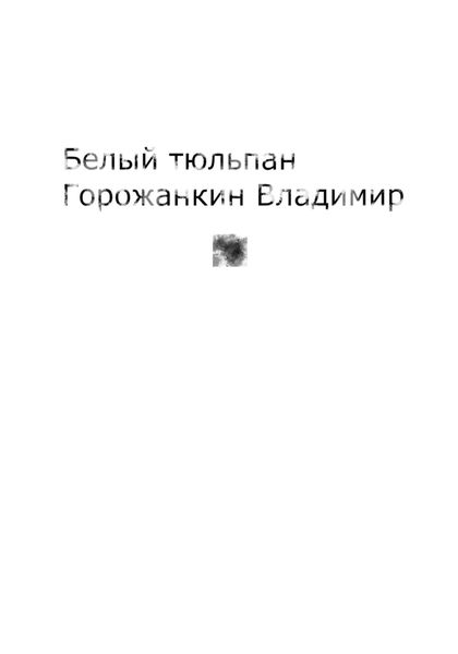 Обложка книги  «Белый тюльпан»
