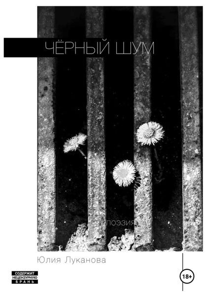 Обложка книги  «Чёрный шум»