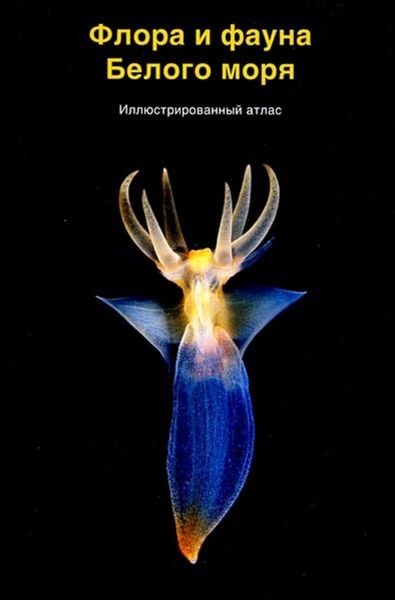 Обложка книги  «Флора и фауна Белого моря»