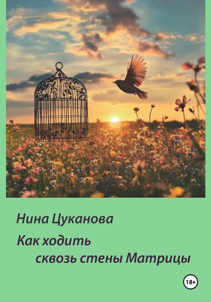Обложка книги  «Как ходить сквозь стены Матрицы»