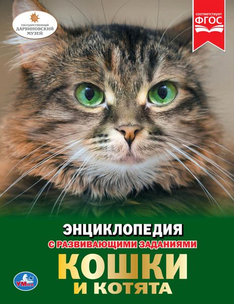 Обложка книги  «Кошки и котята»