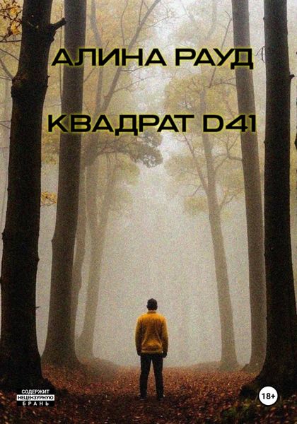 Обложка книги  «Квадрат D41»