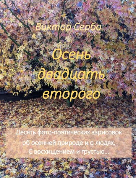 Обложка книги «Осень двадцать второго»