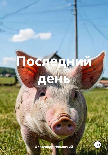 Обложка книги «Последний день»