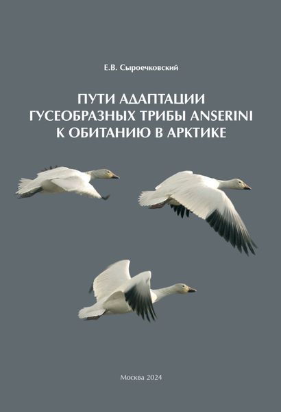 Обложка книги  «Пути адаптации Гусеобразных трибы Anserini к обитанию в Арктике»