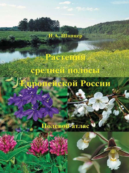 Обложка книги  «Растения средней полосы Европейской России. Полевой атлас»