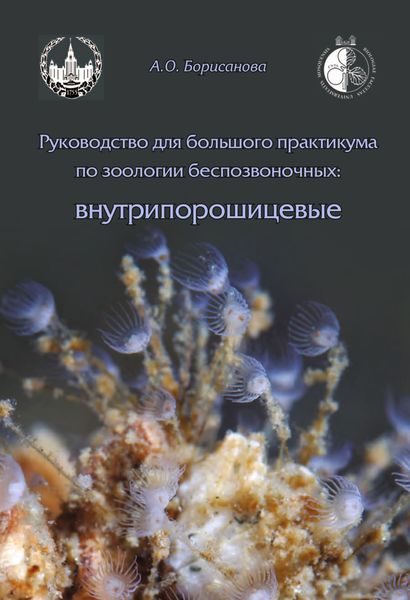 Обложка книги  «Руководство для большого практикума по зоологии беспозвоночных. Внутрипорошицевые»