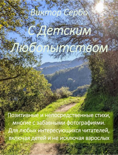 Обложка книги «С Детским Любопытством»