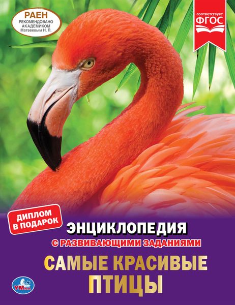 Обложка книги  «Самые красивые птицы»