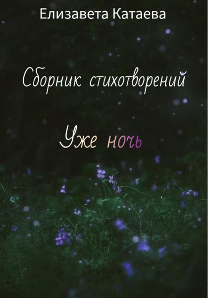 Обложка книги  «Сборник стихотворений. Уже ночь»