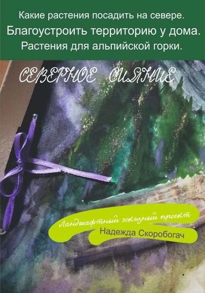 Обложка книги  «Северное сияние»