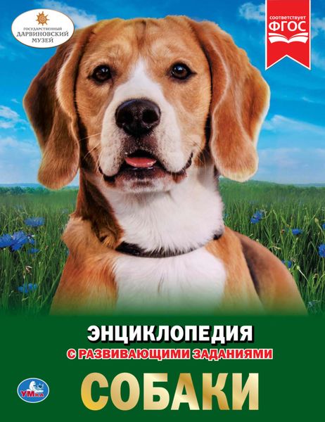 Обложка книги  «Собаки»