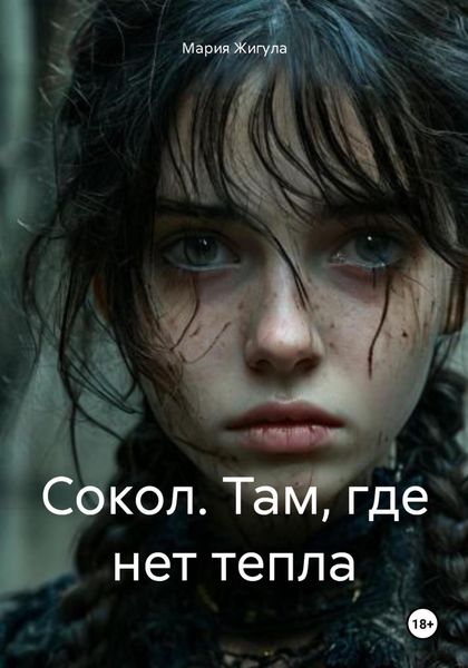 Обложка книги  «Сокол. Там, где нет тепла»