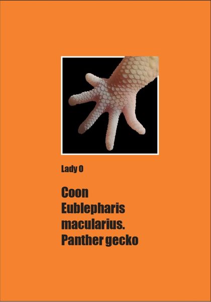Обложка книги  «Сoon Eublepharis macularius. Panther gecko»