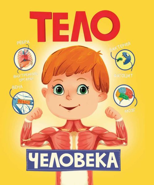 Обложка книги  «Тело человека»