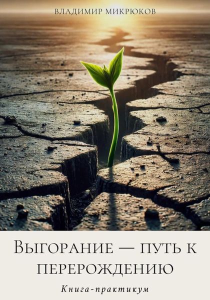 Обложка книги  «Выгорание – путь к перерождению»