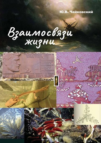 Обложка книги  «Взаимосвязи жизни. Миниэнциклопедия дополняет. Том 1. А – П»