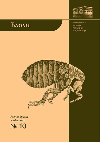 Обложка книги  «Блохи – домашние или домовые животные?»