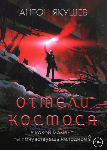 Обложка книги  «Отмели космоса»