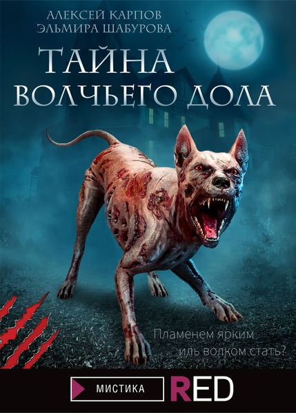 Обложка книги  «Тайна Волчьего дола»