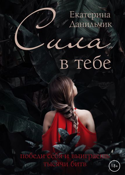 Обложка книги  «Сила в тебе»