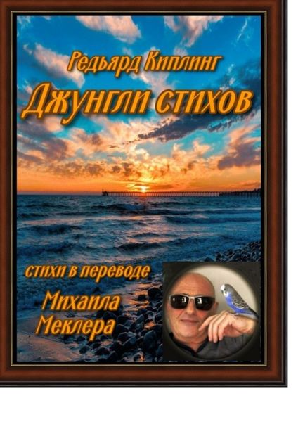 Обложка книги  «Джунгли стихов»