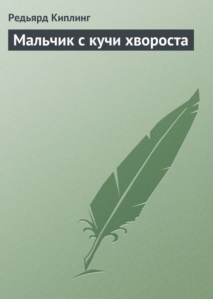 Обложка книги  «Мальчик с кучи хвороста»