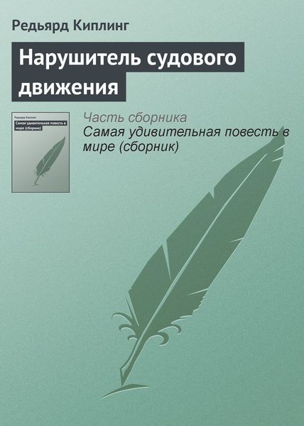 Обложка книги «Нарушитель судового движения»