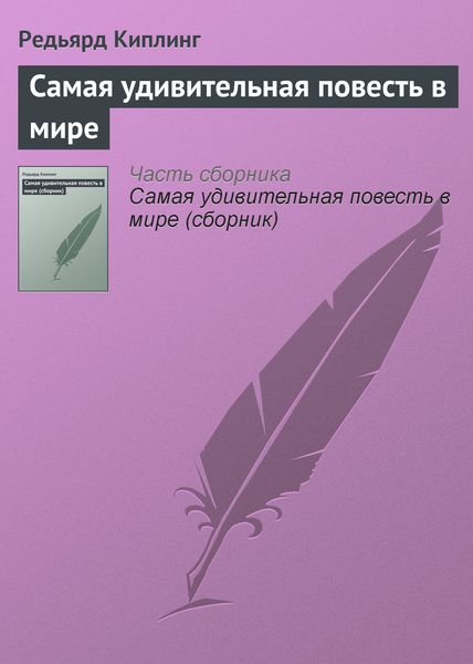 Обложка книги «Самая удивительная повесть в мире»