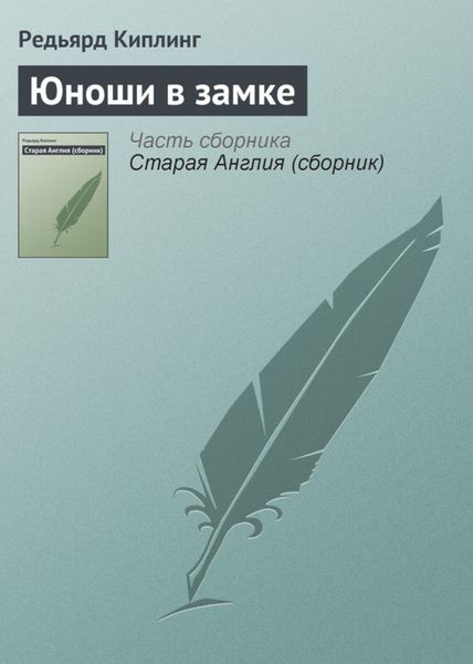 Обложка книги  «Юноши в замке»