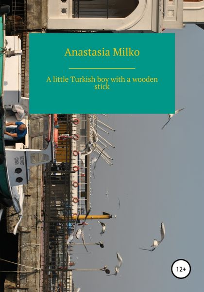Обложка книги  «A little Turkish boy with a wooden stick»