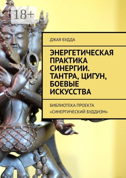Обложка книги  «Энергетическая практика синергии. Тантра, цигун, боевые искусства. Библиотека проекта «Синергический буддизм»»