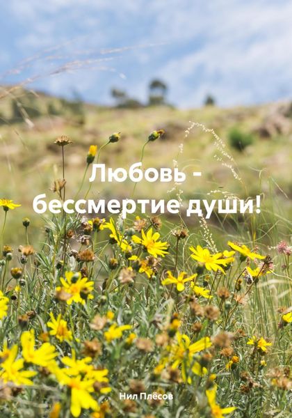 Обложка книги «Любовь – бессмертие души!»