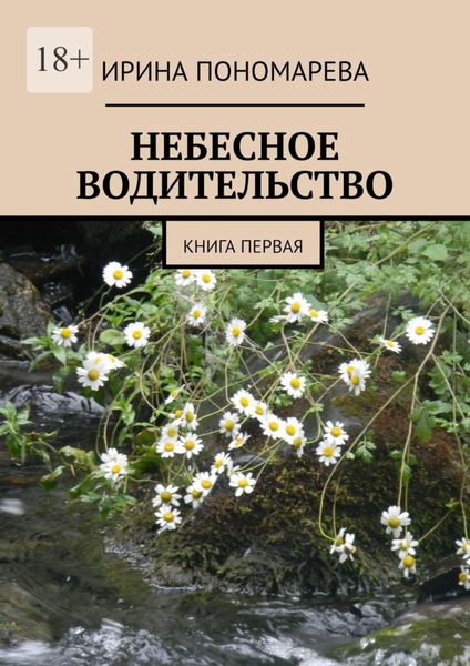 Обложка книги  «Небесное водительство. Книга первая»