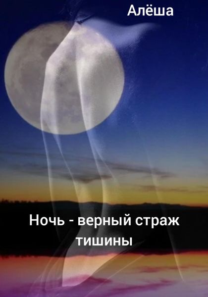 Обложка книги «Ночь – верный страж тишины»