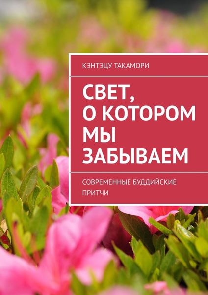 Обложка книги  «Свет, о котором мы забываем. Современные буддийские притчи»