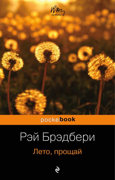 Обложка книги «Лето, прощай»