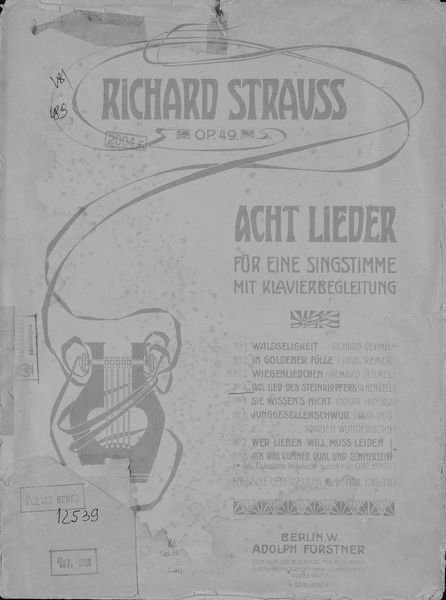 Обложка книги  «Das Lied des Steinklopfers»